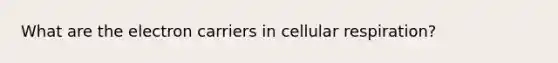 What are the electron carriers in cellular respiration?