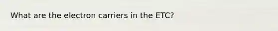 What are the electron carriers in the ETC?