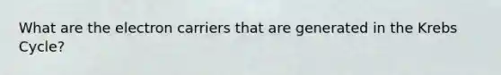 What are the electron carriers that are generated in the Krebs Cycle?