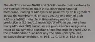 The electron carriers NADH and FADH2 donate their electrons to the electron-transport chain in the inner mitochondrial membrane, leading to ATP synthesis powered by an H+ gradient across the membrane. If, on average, the oxidation of each NADH or FADH2 molecule in this pathway results in the production of 2.5 and 1.5 molecules of ATP, respectively, how many ATP (and GTP) molecules are produced on average as a result of the complete oxidation of one molecule of acetyl CoA in the mitochondrion? Consider only the citric acid cycle and oxidative phosphorylation. A. 10 B. 12 C. 13.5 D. 14.5 E. 15