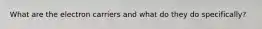 What are the electron carriers and what do they do specifically?