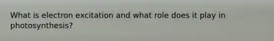 What is electron excitation and what role does it play in photosynthesis?