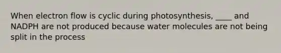 When electron flow is cyclic during photosynthesis, ____ and NADPH are not produced because water molecules are not being split in the process