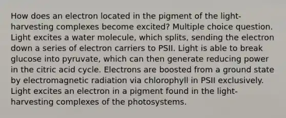 How does an electron located in the pigment of the light-harvesting complexes become excited? Multiple choice question. Light excites a water molecule, which splits, sending the electron down a series of electron carriers to PSII. Light is able to break glucose into pyruvate, which can then generate reducing power in the citric acid cycle. Electrons are boosted from a ground state by electromagnetic radiation via chlorophyll in PSII exclusively. Light excites an electron in a pigment found in the light-harvesting complexes of the photosystems.