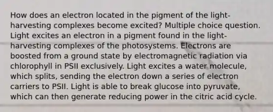 How does an electron located in the pigment of the light-harvesting complexes become excited? Multiple choice question. Light excites an electron in a pigment found in the light-harvesting complexes of the photosystems. Electrons are boosted from a ground state by electromagnetic radiation via chlorophyll in PSII exclusively. Light excites a water molecule, which splits, sending the electron down a series of electron carriers to PSII. Light is able to break glucose into pyruvate, which can then generate reducing power in the citric acid cycle.