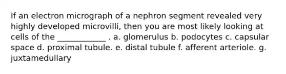 If an electron micrograph of a nephron segment revealed very highly developed microvilli, then you are most likely looking at cells of the ____________ . a. glomerulus b. podocytes c. capsular space d. proximal tubule. e. distal tubule f. afferent arteriole. g. juxtamedullary