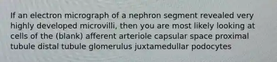 If an electron micrograph of a nephron segment revealed very highly developed microvilli, then you are most likely looking at cells of the (blank) afferent arteriole capsular space proximal tubule distal tubule glomerulus juxtamedullar podocytes