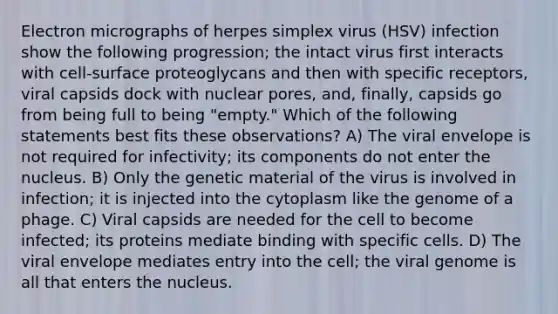 Electron micrographs of herpes simplex virus (HSV) infection show the following progression; the intact virus first interacts with cell-surface proteoglycans and then with specific receptors, viral capsids dock with nuclear pores, and, finally, capsids go from being full to being "empty." Which of the following statements best fits these observations? A) The viral envelope is not required for infectivity; its components do not enter the nucleus. B) Only the genetic material of the virus is involved in infection; it is injected into the cytoplasm like the genome of a phage. C) Viral capsids are needed for the cell to become infected; its proteins mediate binding with specific cells. D) The viral envelope mediates entry into the cell; the viral genome is all that enters the nucleus.