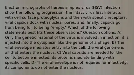 Electron micrographs of herpes simplex virus (HSV) infection show the following progression; the intact virus first interacts with cell-surface proteoglycans and then with specific receptors, viral capsids dock with nuclear pores, and, finally, capsids go from being full to being "empty." Which of the following statements best fits these observations? Question options: A) Only the genetic material of the virus is involved in infection; it is injected into the cytoplasm like the genome of a phage. B) The viral envelope mediates entry into the cell; the viral genome is all that enters the nucleus. C) Viral capsids are needed for the cell to become infected; its proteins mediate binding with specific cells. D) The viral envelope is not required for infectivity; its components do not enter the nucleus.