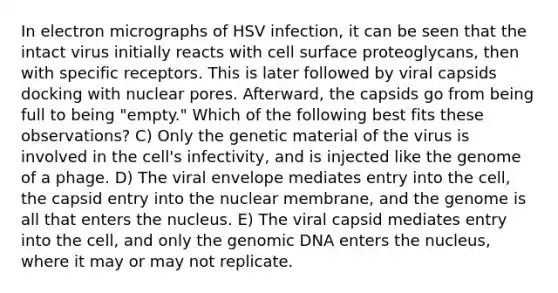 In electron micrographs of HSV infection, it can be seen that the intact virus initially reacts with cell surface proteoglycans, then with specific receptors. This is later followed by viral capsids docking with nuclear pores. Afterward, the capsids go from being full to being "empty." Which of the following best fits these observations? C) Only the genetic material of the virus is involved in the cell's infectivity, and is injected like the genome of a phage. D) The viral envelope mediates entry into the cell, the capsid entry into the nuclear membrane, and the genome is all that enters the nucleus. E) The viral capsid mediates entry into the cell, and only the genomic DNA enters the nucleus, where it may or may not replicate.