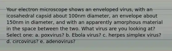 Your electron microscope shows an enveloped virus, with an icosahedral capsid about 100nm diameter, an envelope about 150nm in diameter, and with an apparently amorphous material in <a href='https://www.questionai.com/knowledge/k0Lyloclid-the-space' class='anchor-knowledge'>the space</a> between the two. What virus are you looking at? Select one: a. poxvirus? b. Ebola virus? c. herpes simplex virus? d. circovirus? e. adenovirus?