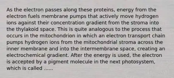 As the electron passes along these proteins, energy from the electron fuels membrane pumps that actively move hydrogen ions against their concentration gradient from the stroma into the thylakoid space. This is quite analogous to the process that occurs in the mitochondrion in which an electron transport chain pumps hydrogen ions from the mitochondrial stroma across the inner membrane and into the intermembrane space, creating an electrochemical gradient. After the energy is used, the electron is accepted by a pigment molecule in the next photosystem, which is called ......