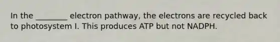 In the ________ electron pathway, the electrons are recycled back to photosystem I. This produces ATP but not NADPH.