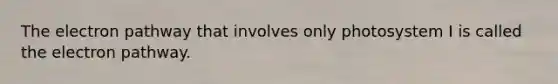 The electron pathway that involves only photosystem I is called the electron pathway.