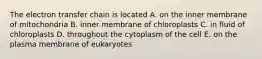 The electron transfer chain is located A. on the inner membrane of mitochondria B. inner membrane of chloroplasts C. in fluid of chloroplasts D. throughout the cytoplasm of the cell E. on the plasma membrane of eukaryotes