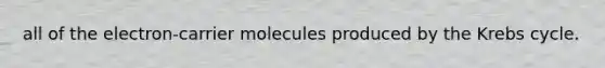 all of the electron-carrier molecules produced by the Krebs cycle.