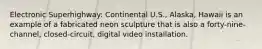 Electronic Superhighway: Continental U.S., Alaska, Hawaii is an example of a fabricated neon sculpture that is also a forty-nine-channel, closed-circuit, digital video installation.