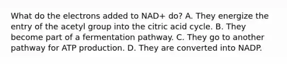 What do the electrons added to NAD+ do? A. They energize the entry of the acetyl group into the citric acid cycle. B. They become part of a fermentation pathway. C. They go to another pathway for ATP production. D. They are converted into NADP.