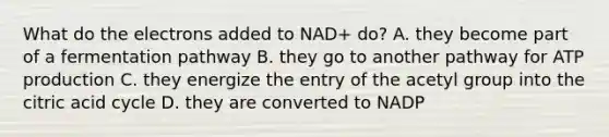 What do the electrons added to NAD+ do? A. they become part of a fermentation pathway B. they go to another pathway for ATP production C. they energize the entry of the acetyl group into the citric acid cycle D. they are converted to NADP