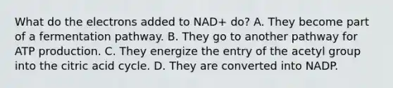 What do the electrons added to NAD+ do? A. They become part of a fermentation pathway. B. They go to another pathway for ATP production. C. They energize the entry of the acetyl group into the citric acid cycle. D. They are converted into NADP.