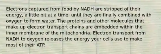 Electrons captured from food by NADH are stripped of their energy, a little bit at a time, until they are finally combined with oxygen to form water. The proteins and other molecules that make up electron transport chains are embedded within the inner membrane of the mitochondria. Electron transport from NADH to oxygen releases the energy your cells use to make most of their ATP.