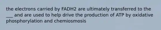 the electrons carried by FADH2 are ultimately transferred to the ___ and are used to help drive the production of ATP by oxidative phosphorylation and chemiosmosis