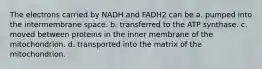 The electrons carried by NADH and FADH2 can be a. pumped into the intermembrane space. b. transferred to the ATP synthase. c. moved between proteins in the inner membrane of the mitochondrion. d. transported into the matrix of the mitochondrion.