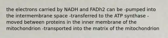 the electrons carried by NADH and FADh2 can be -pumped into the intermembrane space -transferred to the ATP synthase -moved between proteins in the inner membrane of the mitochondrion -transported into the matrix of the mitochondrion