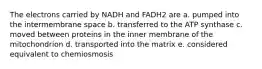 The electrons carried by NADH and FADH2 are a. pumped into the intermembrane space b. transferred to the ATP synthase c. moved between proteins in the inner membrane of the mitochondrion d. transported into the matrix e. considered equivalent to chemiosmosis