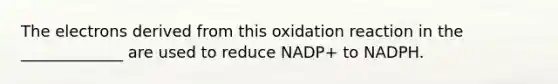 The electrons derived from this oxidation reaction in the _____________ are used to reduce NADP+ to NADPH.