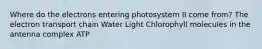 Where do the electrons entering photosystem II come from? The electron transport chain Water Light Chlorophyll molecules in the antenna complex ATP