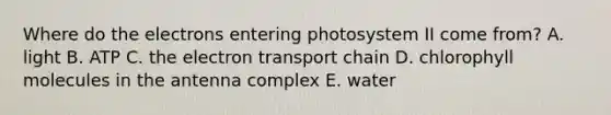 Where do the electrons entering photosystem II come from? A. light B. ATP C. the electron transport chain D. chlorophyll molecules in the antenna complex E. water