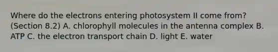 Where do the electrons entering photosystem II come from? (Section 8.2) A. chlorophyll molecules in the antenna complex B. ATP C. the electron transport chain D. light E. water