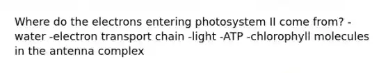 Where do the electrons entering photosystem II come from? -water -electron transport chain -light -ATP -chlorophyll molecules in the antenna complex