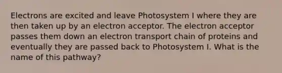 Electrons are excited and leave Photosystem I where they are then taken up by an electron acceptor. The electron acceptor passes them down an electron transport chain of proteins and eventually they are passed back to Photosystem I. What is the name of this pathway?