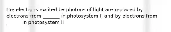 the electrons excited by photons of light are replaced by electrons from _______ in photosystem I, and by electrons from ______ in photosystem II