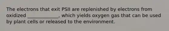 The electrons that exit PSII are replenished by electrons from oxidized _____________, which yields oxygen gas that can be used by plant cells or released to the environment.