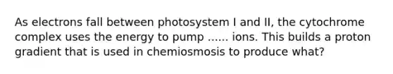 As electrons fall between photosystem I and II, the cytochrome complex uses the energy to pump ...... ions. This builds a proton gradient that is used in chemiosmosis to produce what?