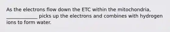 As the electrons flow down the ETC within the mitochondria, _____________ picks up the electrons and combines with hydrogen ions to form water.