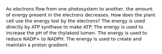 As electrons flow from one photosystem to another, the amount of energy present in the electrons decreases. How does the plant cell use the energy lost by the electrons? The energy is used directly by ATP synthase to make ATP. The energy is used to increase the pH of the thylakoid lumen. The energy is used to reduce NADP+ to NADPH. The energy is used to create and maintain a proton gradient.