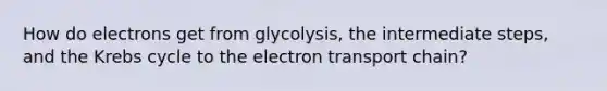 How do electrons get from glycolysis, the intermediate steps, and the Krebs cycle to the electron transport chain?