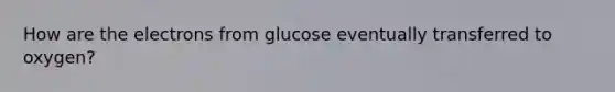 How are the electrons from glucose eventually transferred to oxygen?