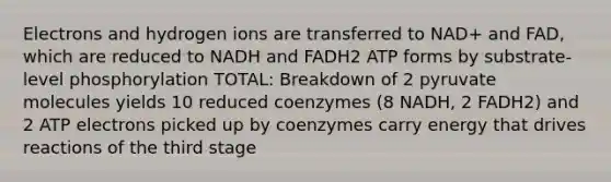 Electrons and hydrogen ions are transferred to NAD+ and FAD, which are reduced to NADH and FADH2 ATP forms by substrate-level phosphorylation TOTAL: Breakdown of 2 pyruvate molecules yields 10 reduced coenzymes (8 NADH, 2 FADH2) and 2 ATP electrons picked up by coenzymes carry energy that drives reactions of the third stage