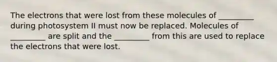 The electrons that were lost from these molecules of _________ during photosystem II must now be replaced. Molecules of _________ are split and the _________ from this are used to replace the electrons that were lost.