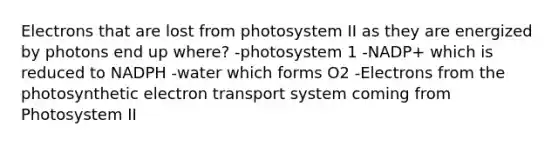 Electrons that are lost from photosystem II as they are energized by photons end up where? -photosystem 1 -NADP+ which is reduced to NADPH -water which forms O2 -Electrons from the photosynthetic electron transport system coming from Photosystem II