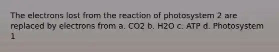 The electrons lost from the reaction of photosystem 2 are replaced by electrons from a. CO2 b. H2O c. ATP d. Photosystem 1