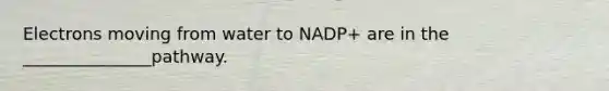 Electrons moving from water to NADP+ are in the _______________pathway.