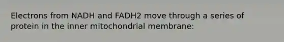 Electrons from NADH and FADH2 move through a series of protein in the inner mitochondrial membrane: