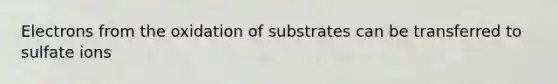 Electrons from the oxidation of substrates can be transferred to sulfate ions