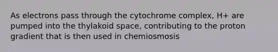 As electrons pass through the cytochrome complex, H+ are pumped into the thylakoid space, contributing to the proton gradient that is then used in chemiosmosis